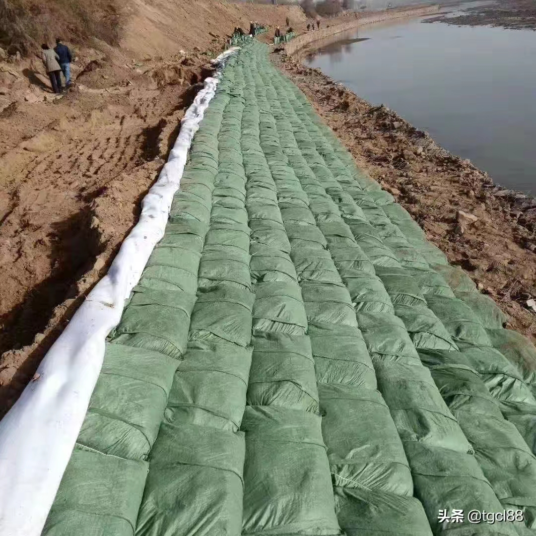 生態(tài)帶的功能和用途